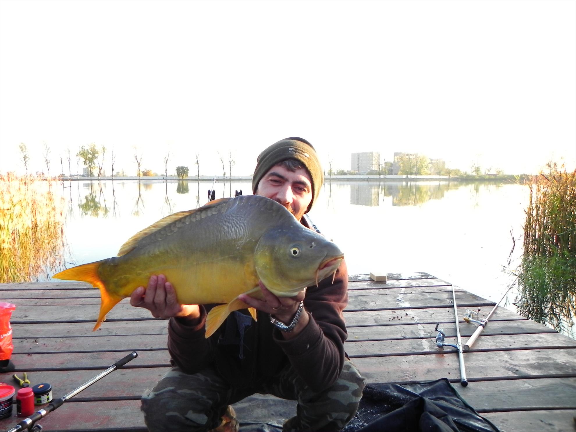 Pleasa 04-11-2012 - dscn3410.JPG